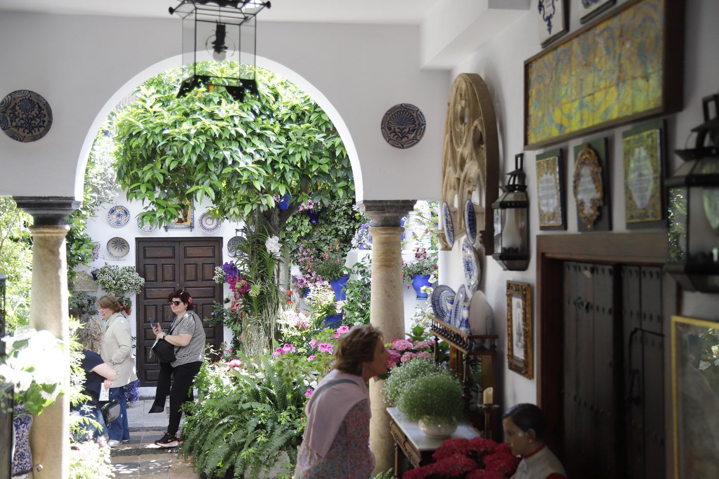 Patios de Córdoba: Pastora 2