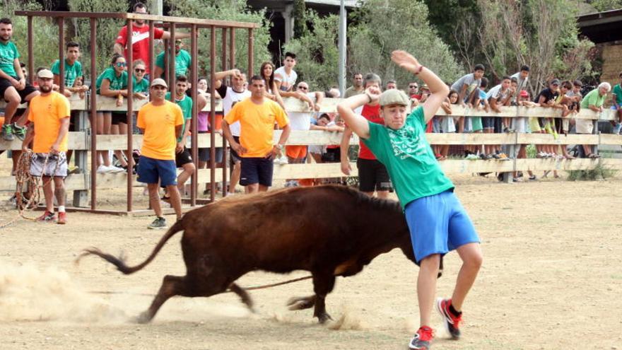 Un noi esquiva a una de les vaquetes a Torroella de Montgrí durant un correbou l&#039;agost de 2016