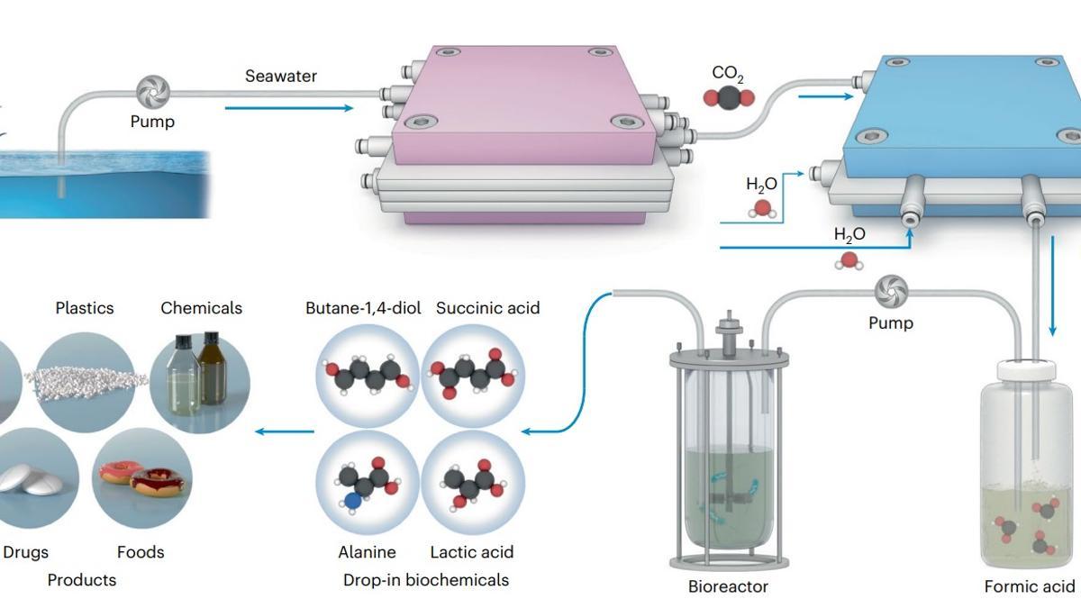 Un sistema captura CO2 y lo convierte en material para hacer plástico biodegradable