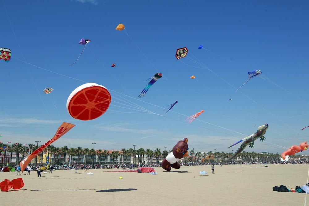 Festival del Viento 2016 en la Malva-rosa