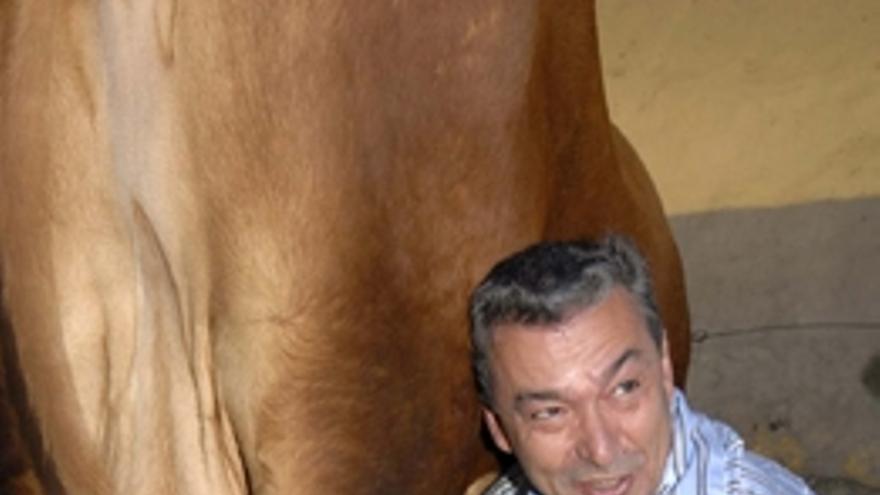 El presidente de Canarias, Paulino Rivero, ordeñando una vaca este sábado en La Aldea.