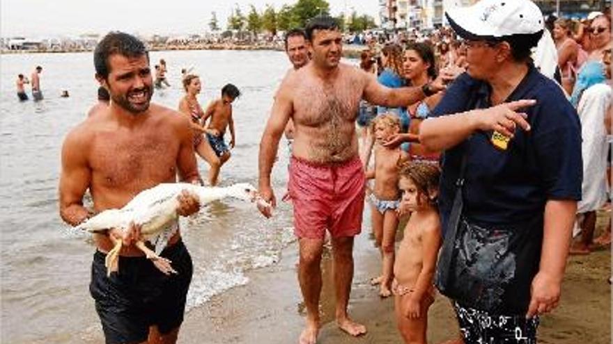 Unes 200 persones van empaitar ànecs a la platja de La Punta de Roses.