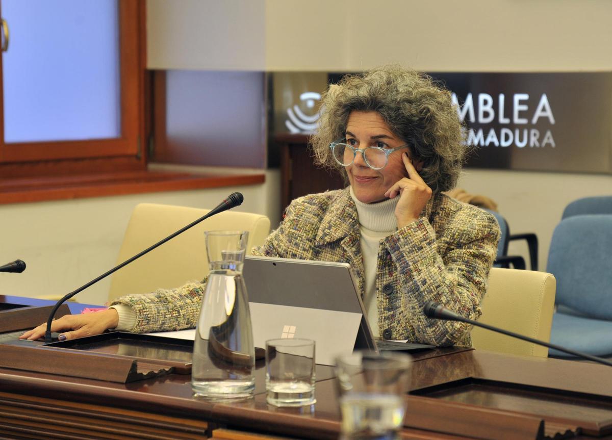 La directora de la Aexcid, Isabel Belloso, ayer en comisión.