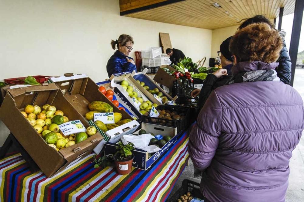 Mercado de berros a 1 euro en Ingenio