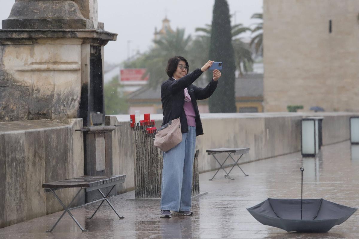 El temporal de lluvia y viento, en imágenes