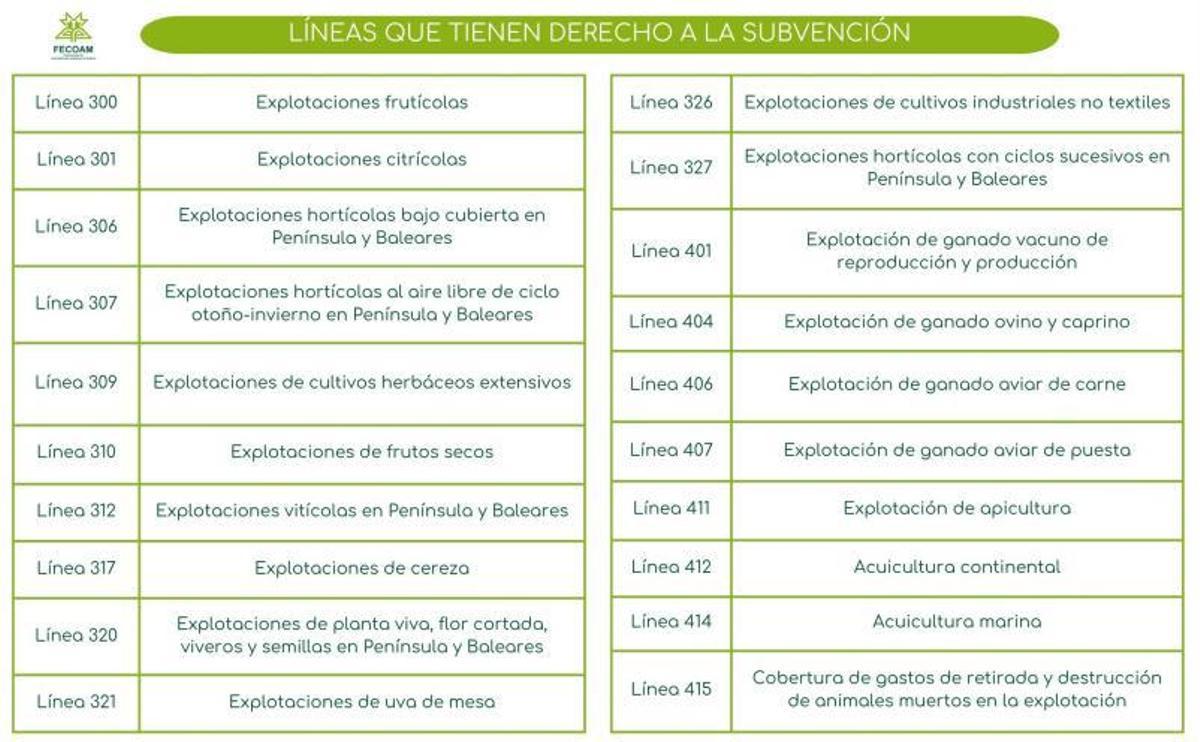 Líneas que tienen derecho a subvención.  | FECOAM