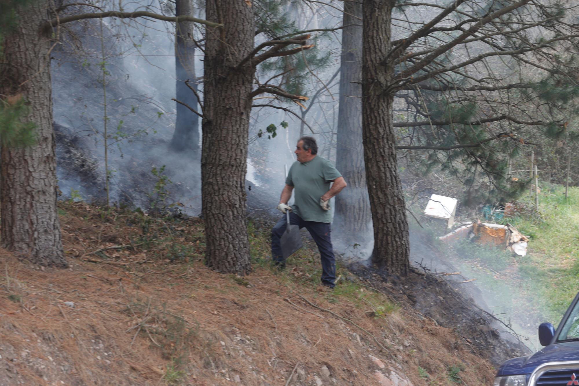 Dura lucha contra los incendios de Tineo y Valdés