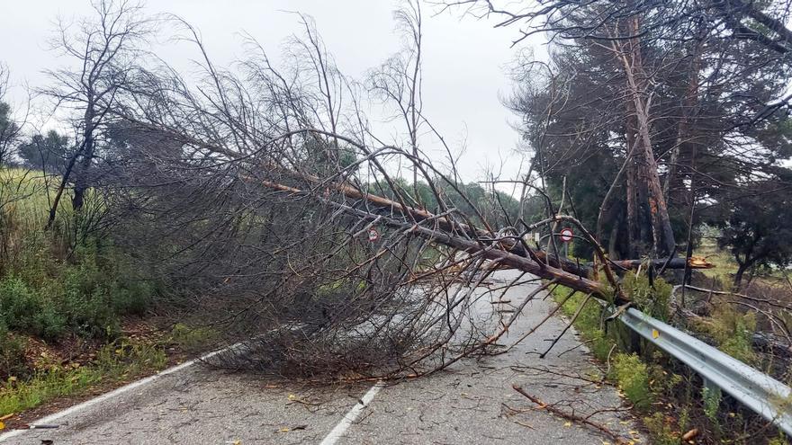 La Aemet activa mañana el aviso amarillo por rachas de viento en Zamora, Burgos, León, Palencia y Salamanca