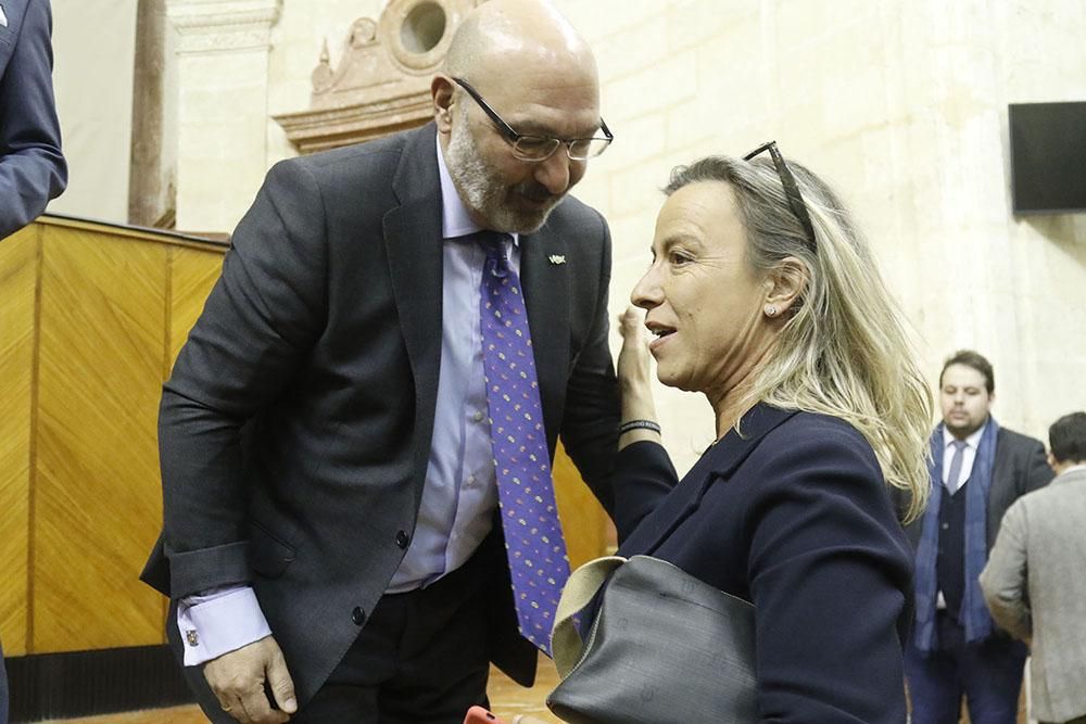 Apertura de legislatura en el Parlamento Andaluz