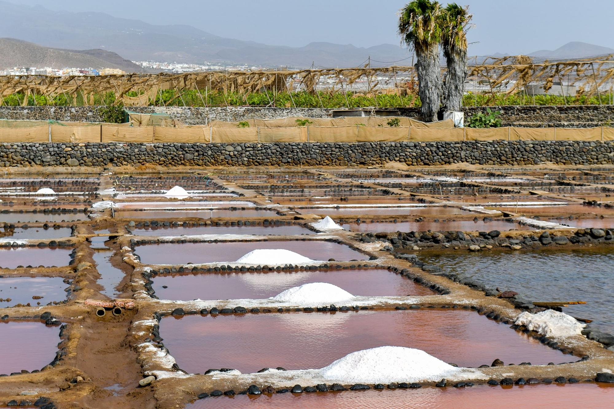 Salinas de Vargas