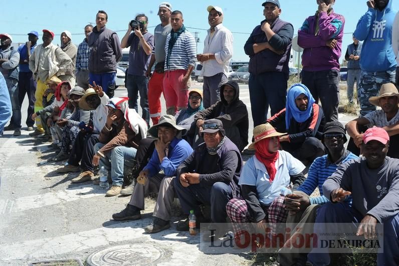 Protesta hortofrutícola en una empresa de El Raal