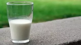 ¿Cuáles son las tres mejores leches de marca blanca?