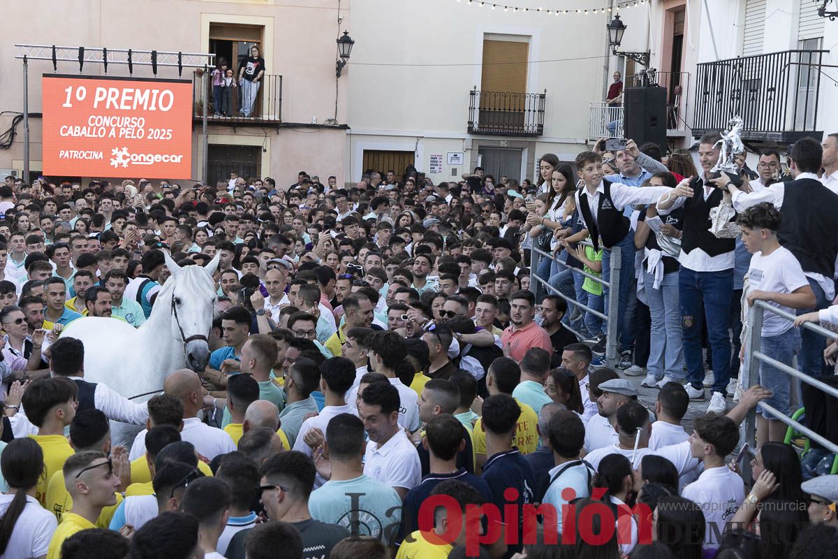 Fiestas de Caravaca | Entrega de premios del concurso morfológico