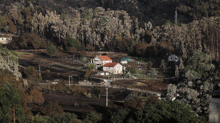 Casas rodeadas de terreno calcinado en Chandebrito por culpa de los fuegos de octubre del año pasado