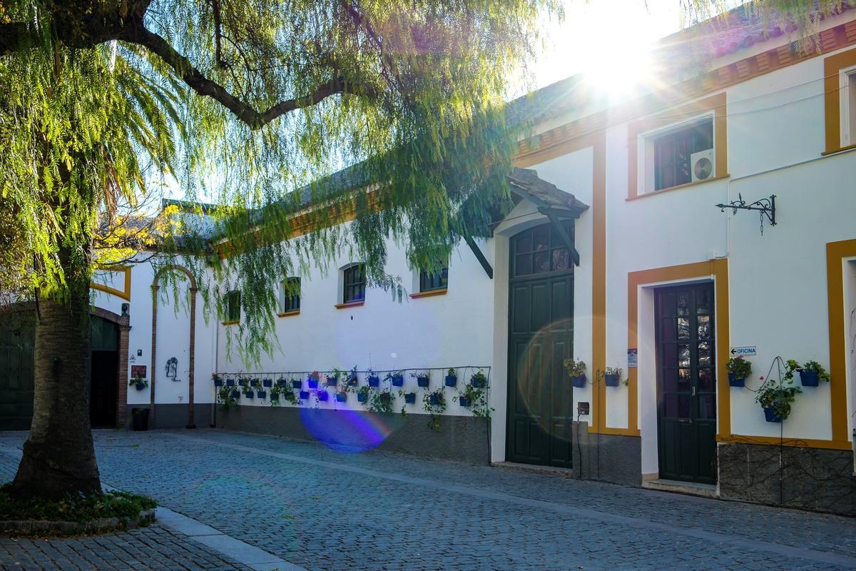 Patio de la bodega.