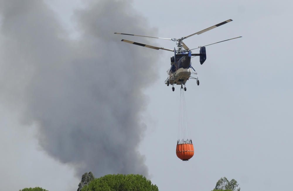 El incendio de Moguer alcanza el Espacio Natural de Doñana