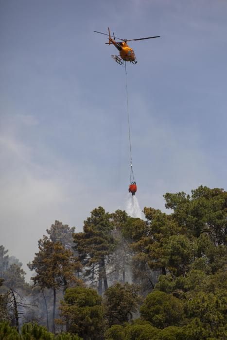 Incendi forestal en una urbanització de Lloret