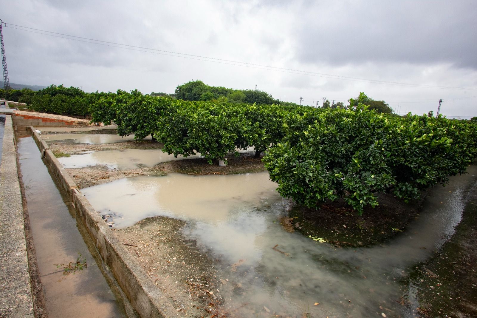 Campos de cítricos inundados en Sant Joanet