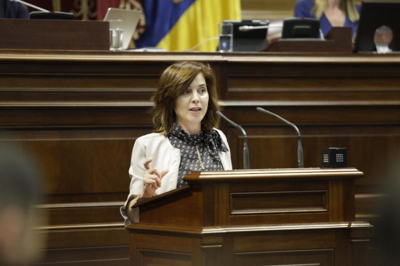 El pleno del Parlamento de Canarias continua con varias comparecencias, entre ellas varias de la consejera de Educación, María José Guerra, para abordar cuestiones como el absentismo y el abandono escolar temprano o el Plan Estratégico de Atención a la Diversidad en la Ley Canaria de Educación  | 12/02/2020 | Fotógrafo: Delia Padrón