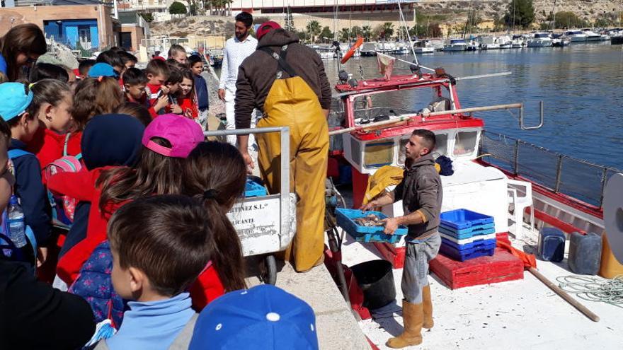 Los colegios se unen al centenario de la Cofradía de Pescadores de El Campello