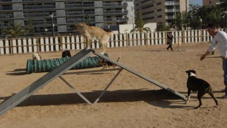 La zona de adiestramiento para mascotas que tiene el nuevo parque situado en el entorno de la Ciudad Deportiva.