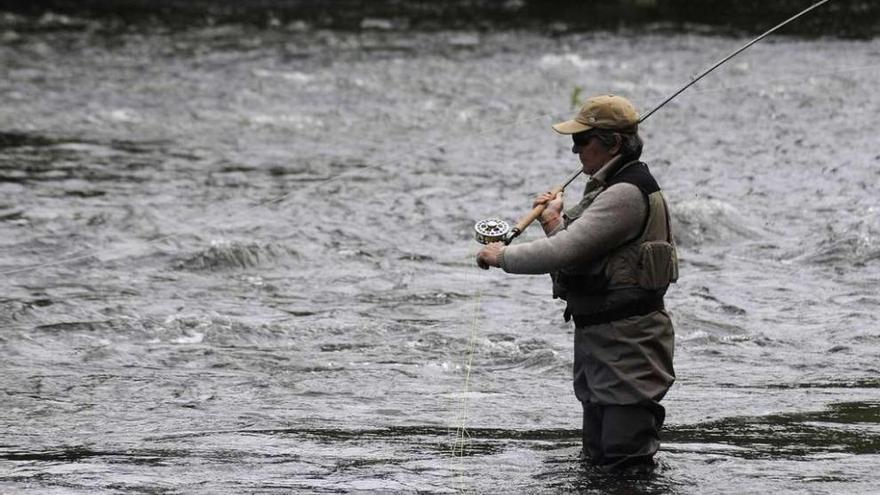 Un pescador, en uno de los cotos salmoneros del Ulla. // Bernabé/Javier Lalín