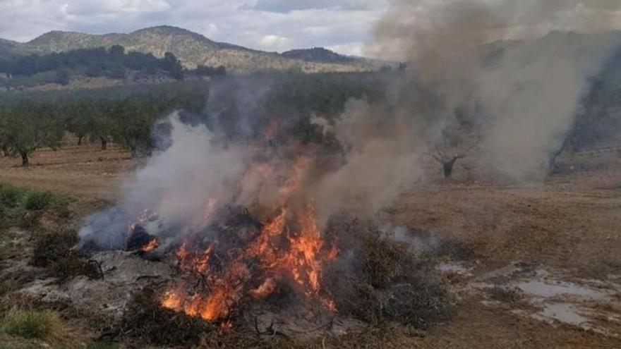 Los pequeños agricultores piden que se actualice la ley de quemas regional