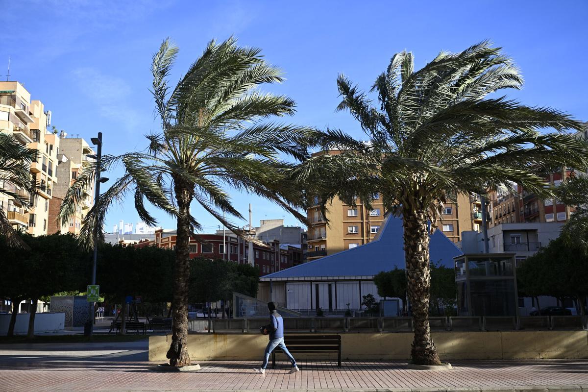 Una persona camina junto a varias palmeras, durante una jornada de viento este sábado en Castellón. Una persona camina junto a varias palmeras, durante una jornada de viento este sábado en Castellón.