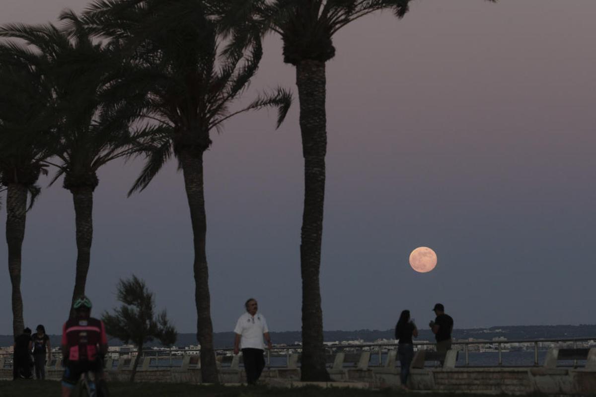 Der Erdbeermond verzückt Mallorca