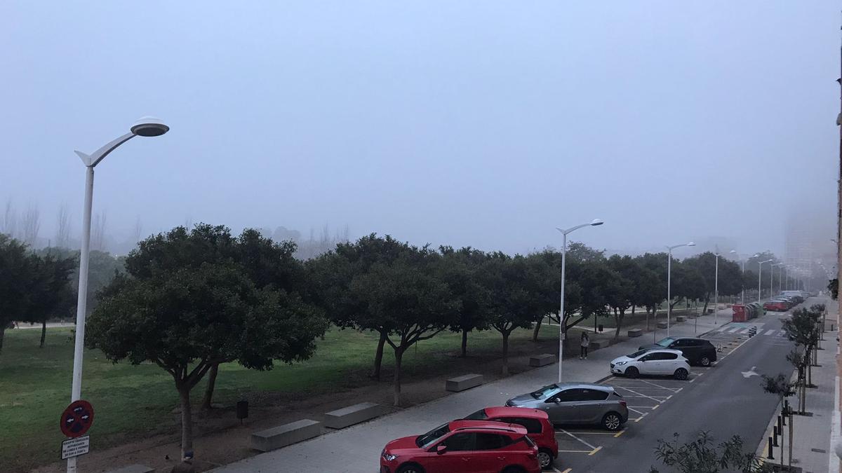 Niebla sobre el Parque de Cabecera, en València, en esta mañana de viernes.