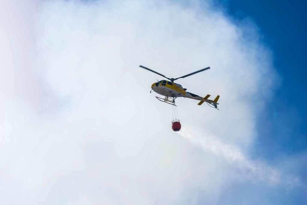 Un incendio quema una hectárea de un descampado de Ca n´Escandell