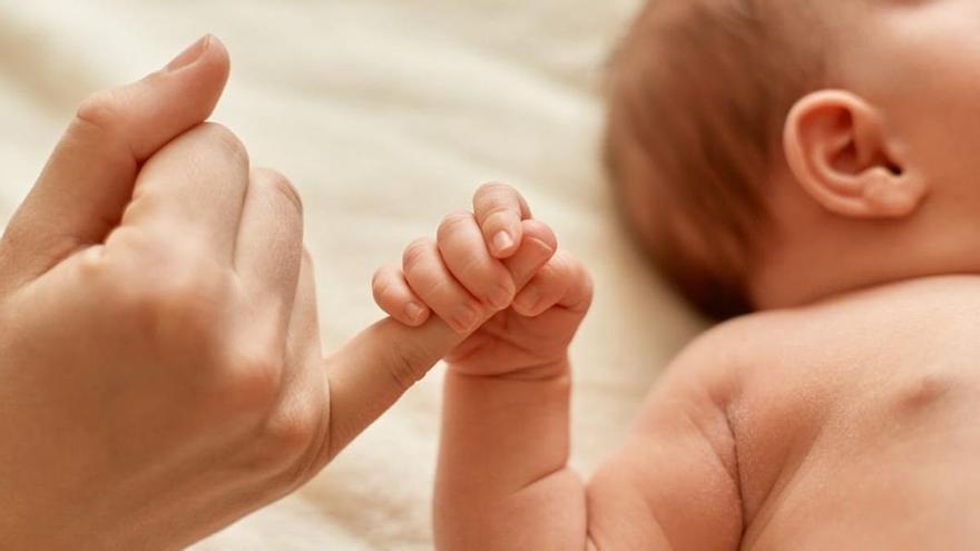 Elche duplica hasta los 150.000 euros las ayudas a familias numerosas y para evitar abortos