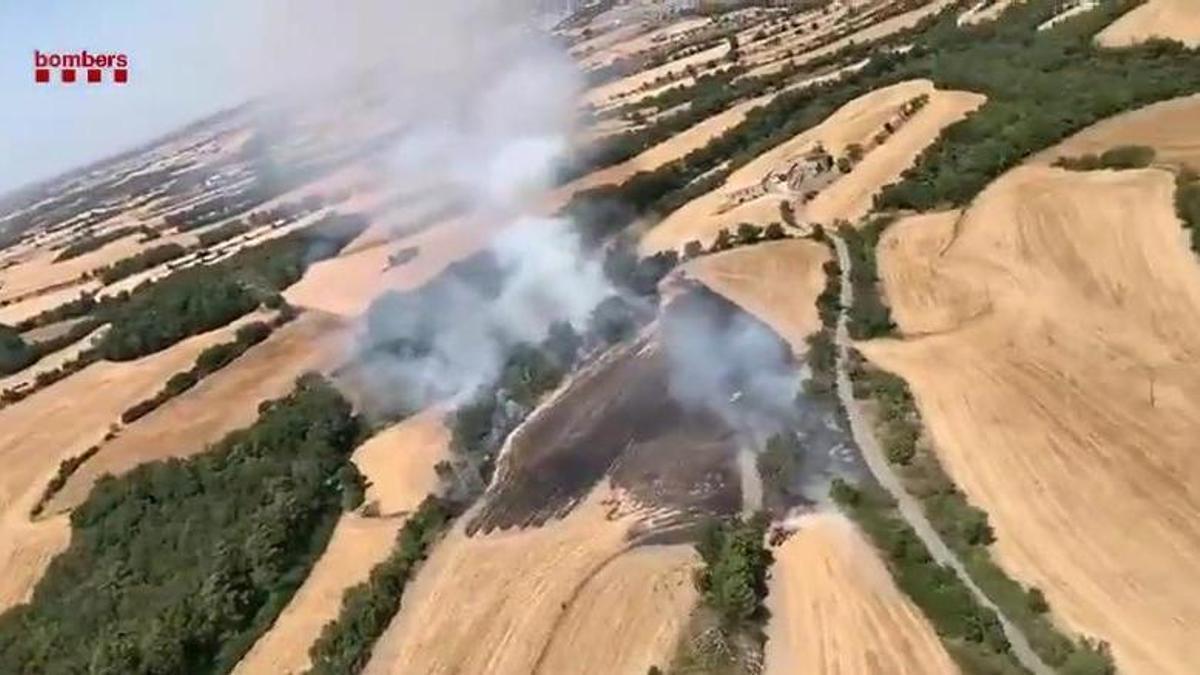 Incendio de vegetación agrícola en Montmaneu