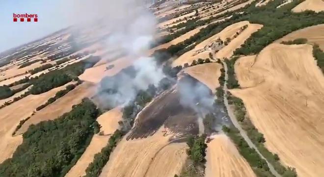 Estabilizado el incendio de vegetación agrícola en Montmaneu (Barcelona)