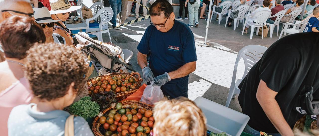 Uno de los puestos de la IV Feria del Tomate de La Aldea