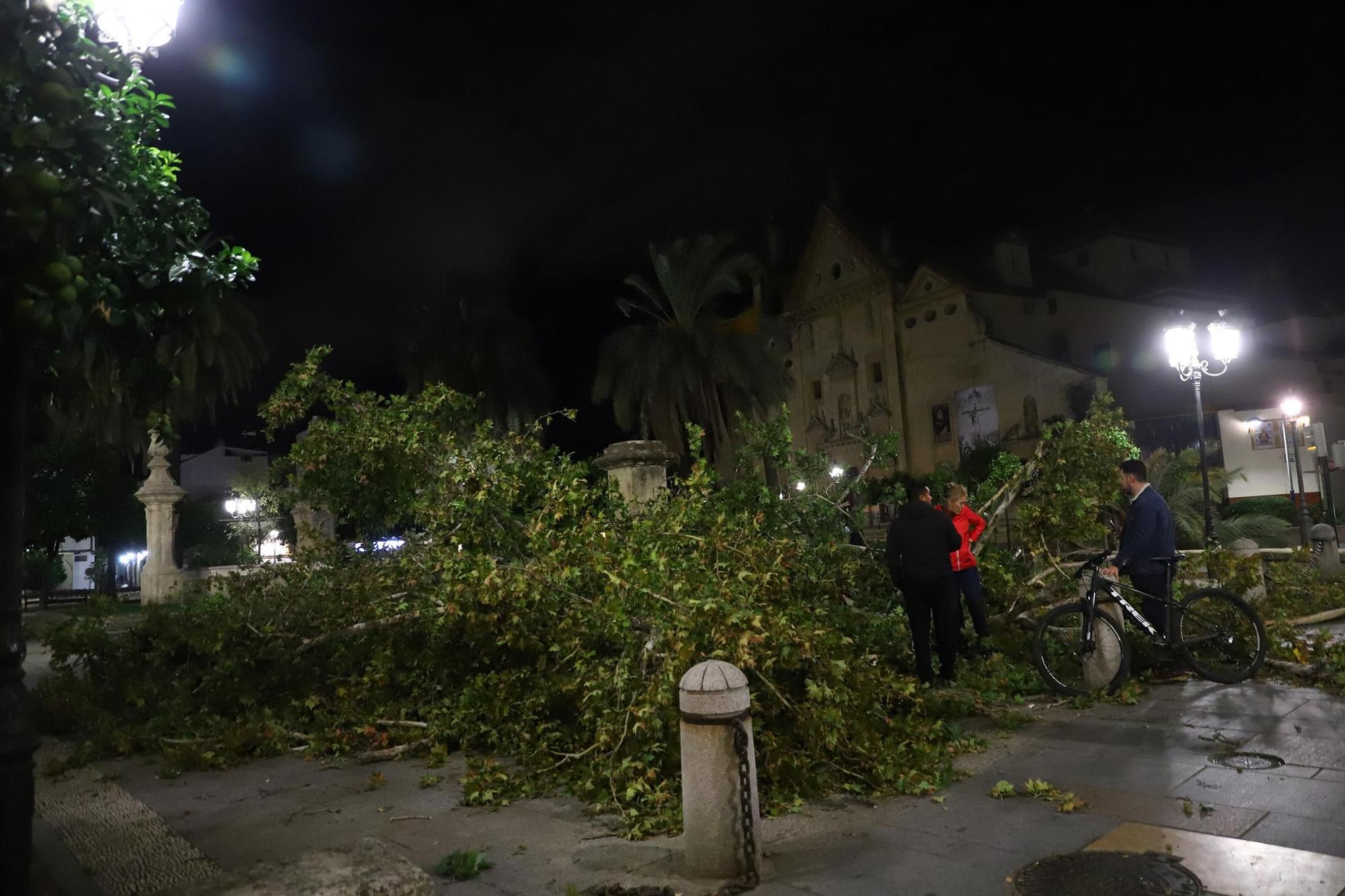 Los efectos del temporal en Córdoba, en imágenes