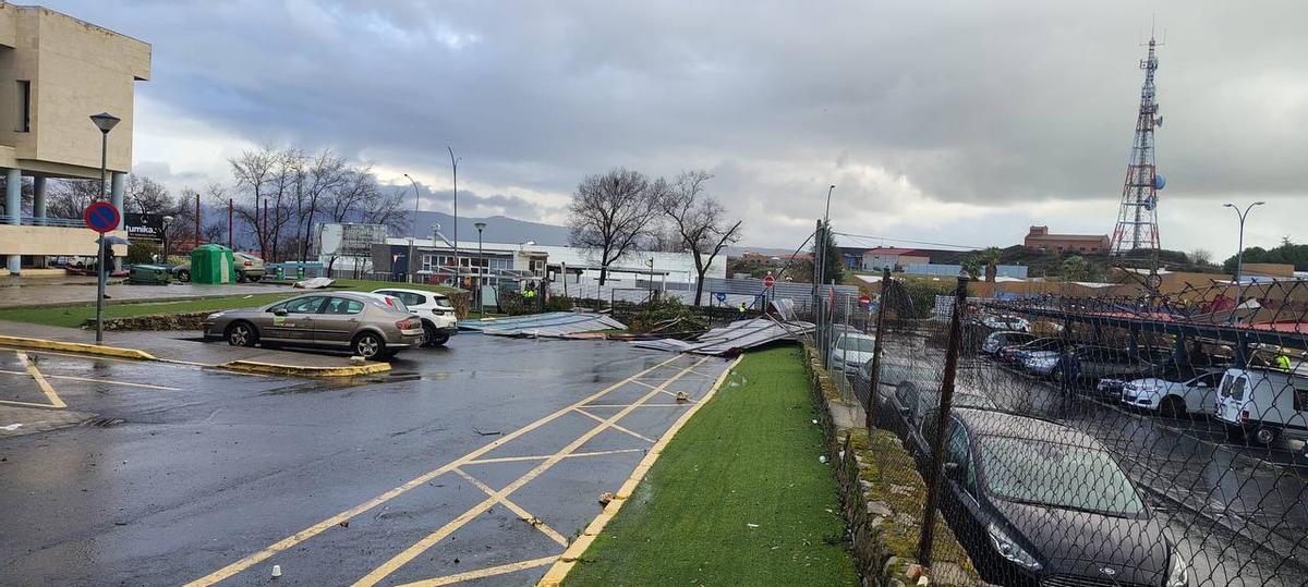 Fotogalería | Un vendaval provoca destrozos en Plasencia Fotogalería | Un vendaval provoca destrozos en Plasencia