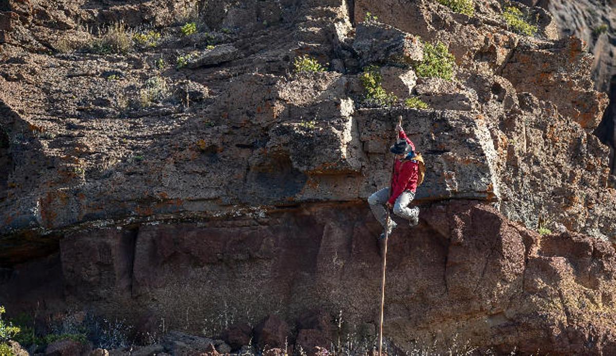 Mucho perro y pocas cabras
