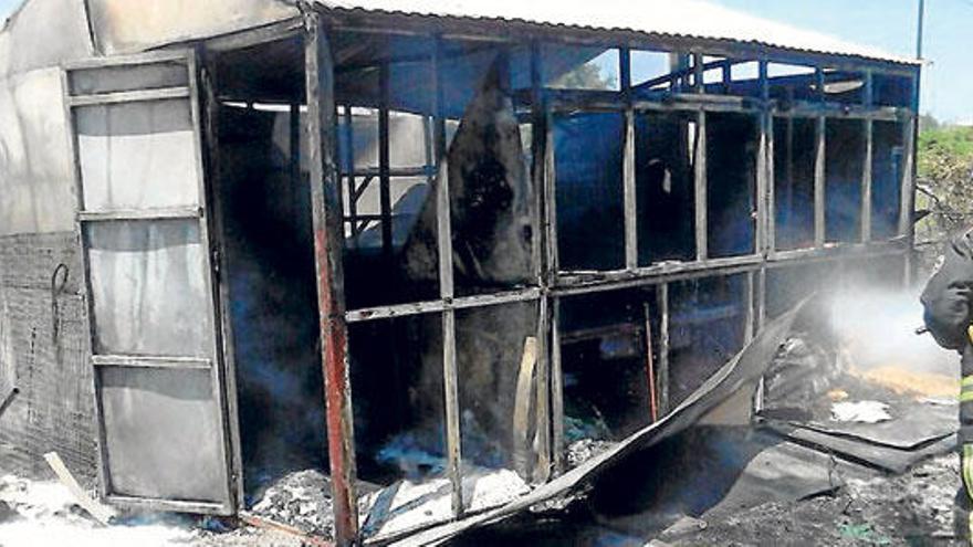 Un bombero extingue el fuego ayer por la mañana.