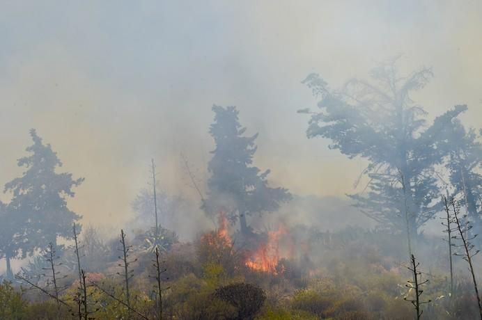 Incendio en la zona de Llano Grande