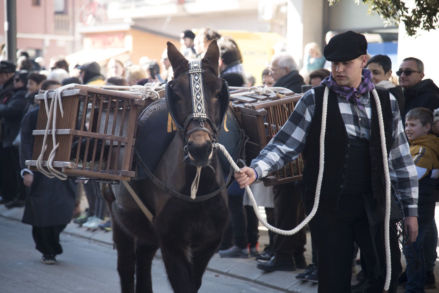 Les millors imatges dels Traginers de Balsareny