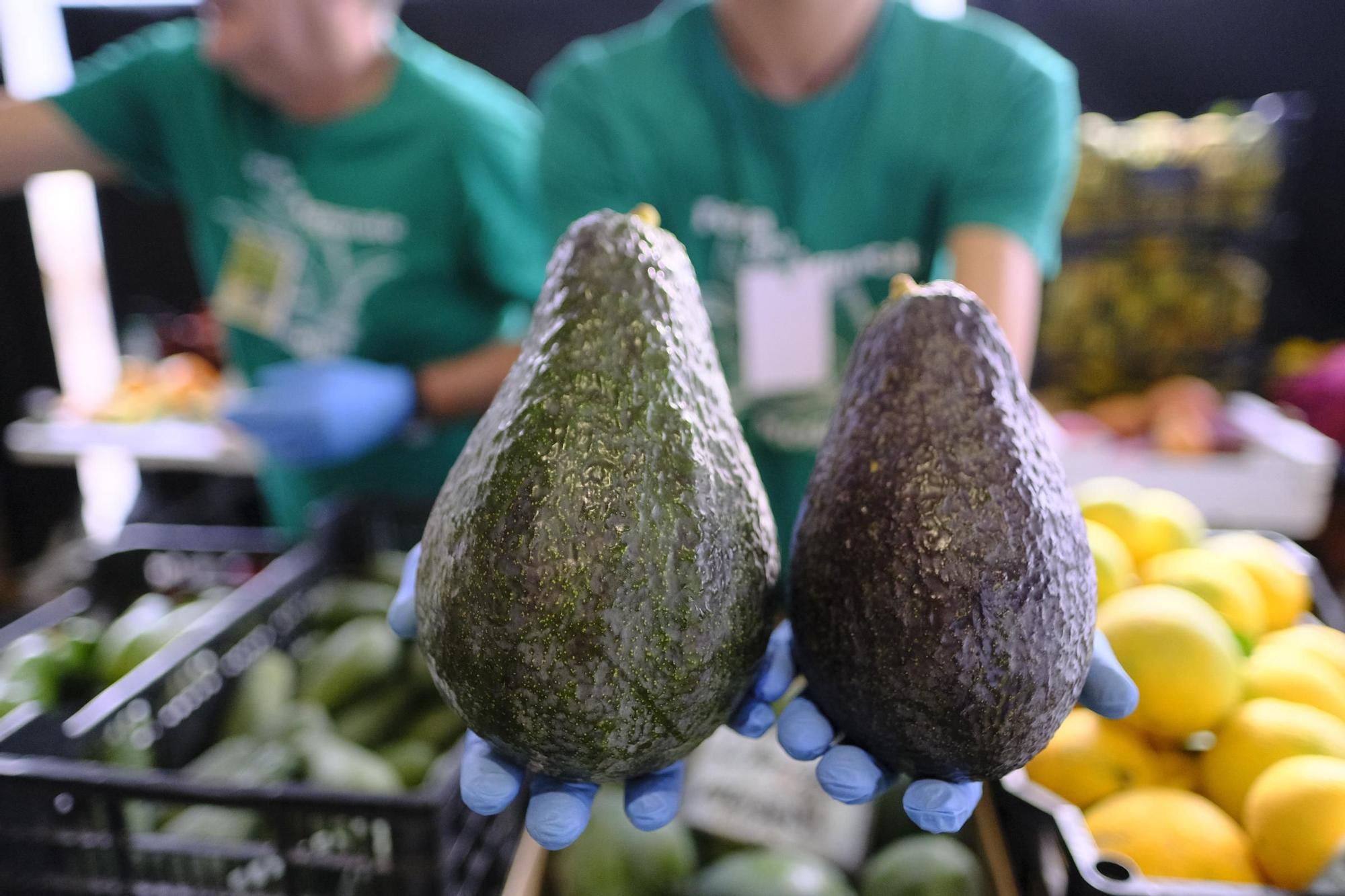 Feria del Aguacate de Mogán