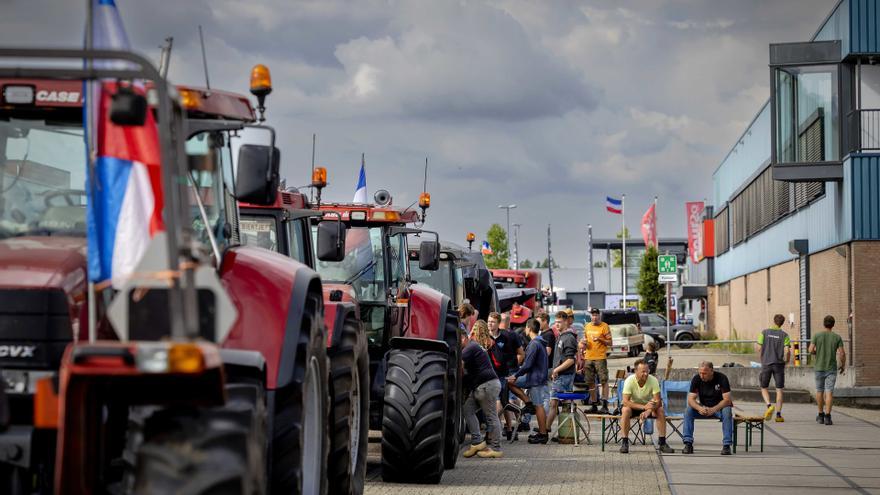 El partido de los granjeros, triunfador de las elecciones regionales de Países Bajos