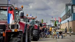 El derechista partido de los granjeros, triunfador de las elecciones regionales de Países Bajos