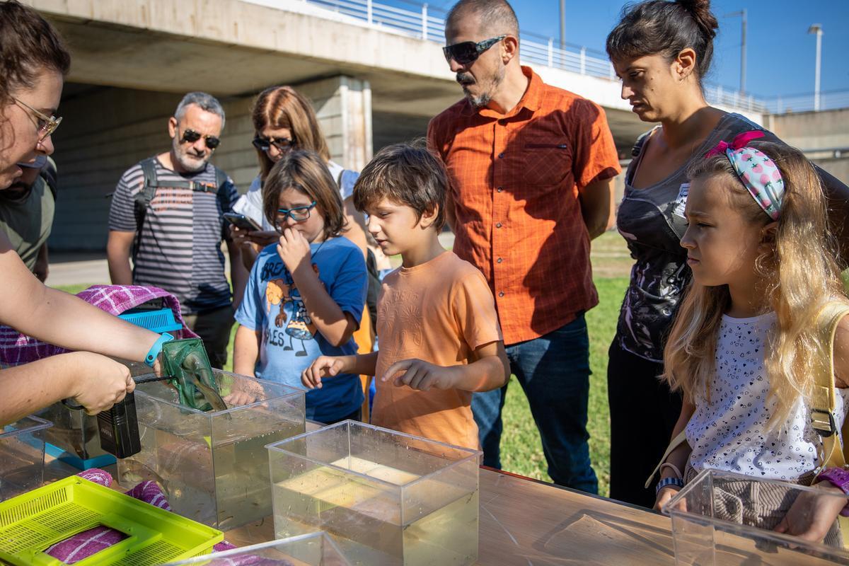 La fiesta de Va de Besòs, en el Parc del Litoral del Besòs