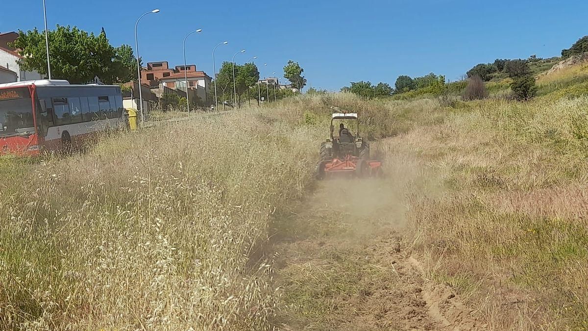 Avepla y San Miguel han criticado el sistema de desbroces en Plasencia.
