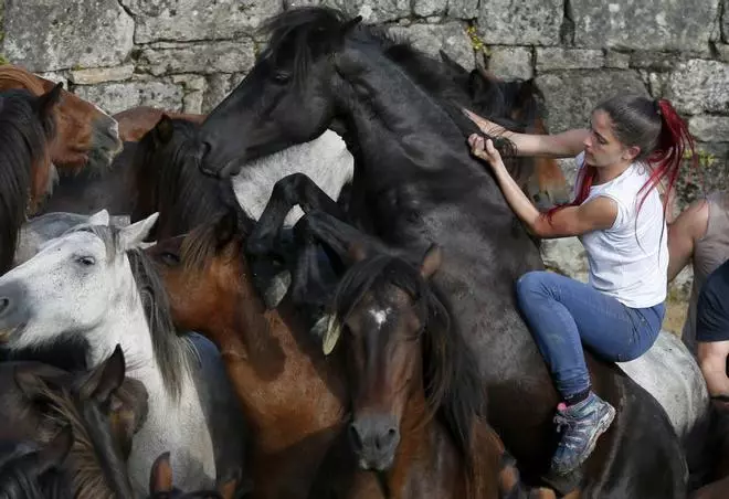 "Rapa das Bestas" a Pontevedra