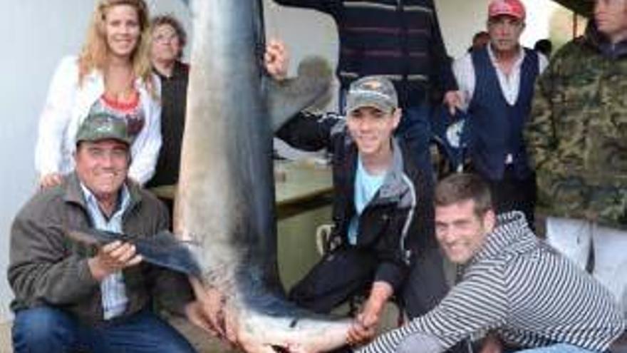 Un joven pesca con caña en Cullera un tiburón azul de tres metros