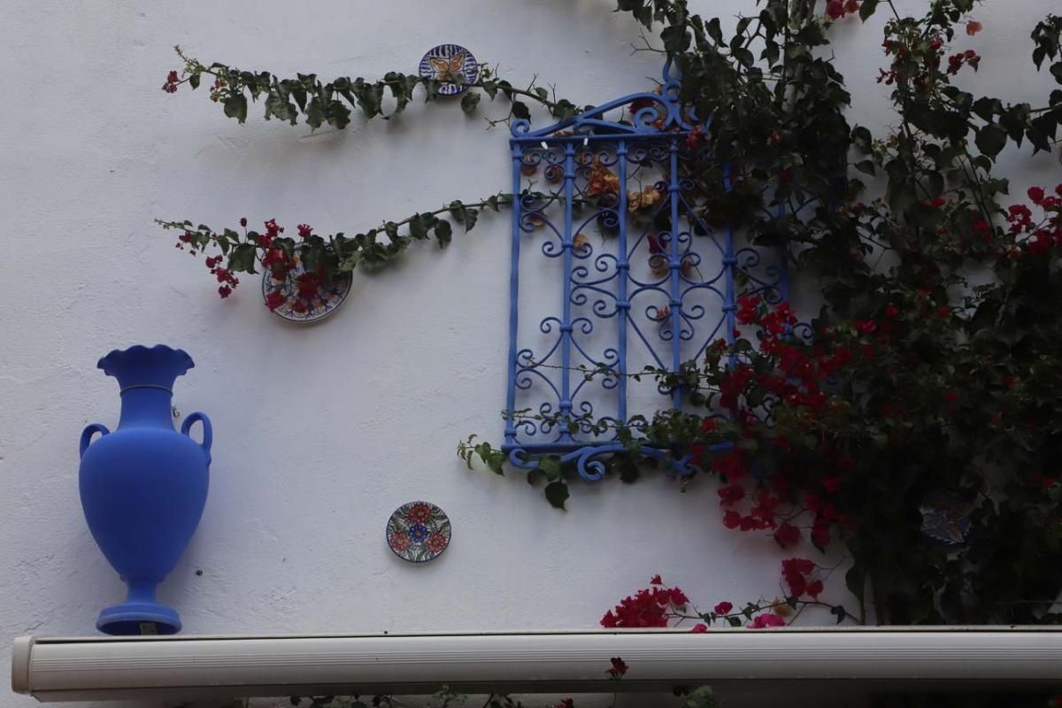 Los patios de Córdoba, San Lorenzo