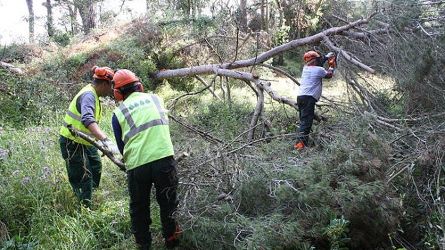 Palafrugell disposa de dues noves brigades mediambientals